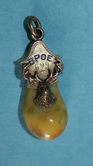 Antique 14k Gold Bpoe Elks Lodge 629 Ruby Eyes Tooth Pendant Watch Fob