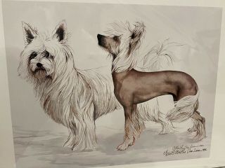 Chinese Crested Ltd Ed 11x14 Signed Print By Van Loan