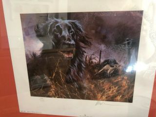 Mick Cawston Signed Limited Edition Print Flatcoat At Work Flat Coated Retriever