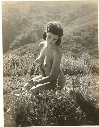 Vintage Slvr Gelatin Photo Sexy Model Perky Tits Nipples Risque Erotica