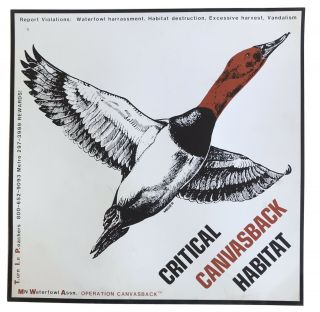 Vintage Critical Canvasback Habitat Sign Minnesota Waterfowl Duck Hunting