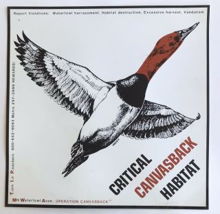 Vintage Critical Canvasback Habitat Sign Minnesota Waterfowl Duck Hunting 2