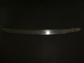 Wakizashi (sword) Only Blade : Edo : 15.  7 × 12.  6 " 190g