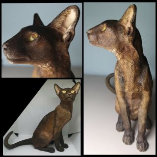 Havana Siamese Cat Figurine Vintage Country Artists Sculpture Lifelike Ornament