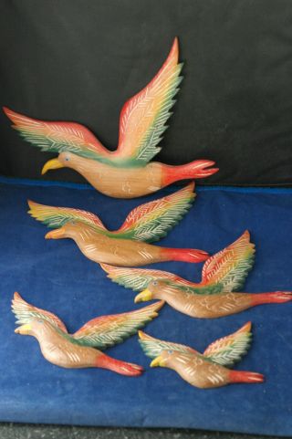 Hand Carved Set Of 5 Birds 10 " - 9 " - 8 " - 7 " - 5 " Inche In Teak Wood