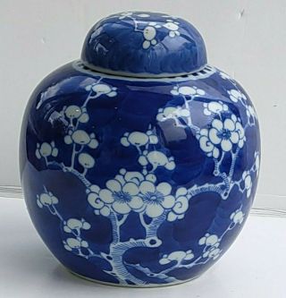 Antique Chinese Porcelain Ginger Jar & Lid Blue & White Prunus Blossom