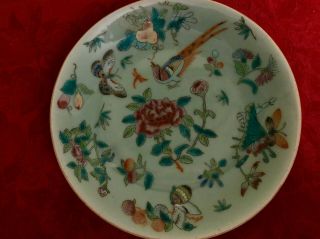 Antique,  Chinese Tongzhi Nian Zhi Da Qing Fencai,  Celadon Famille Rose Plate 6