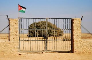 Leaf Of The Prophets ‎ﷺ Tree In Jordan The Living Sahaba