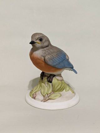 Vintage Boehm Porcelain Baby Blue Bird Figurine On Leafy Base 442 Matte Finish