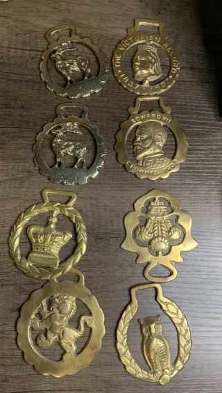 Vintage Solid Brass Horse Bridle Medallions - Uk Themes - Make Offer For All 7