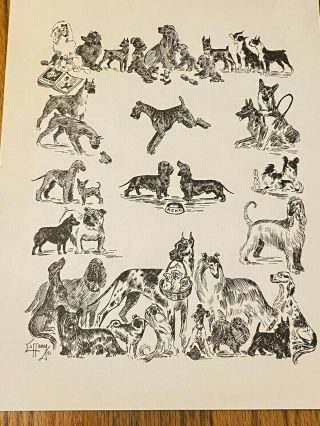 Vintage Art Piece With Dogs,  Schipperke By Lillian Tiffany