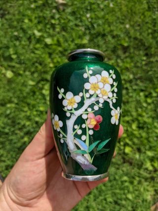 Flawless Green Antique Japanese Cloisonne Vase 4.  75 " Tall