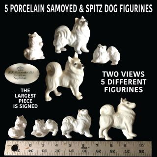 5 Porcelain Samoyed & Spitz Dog Figurines One With Company Signature Very