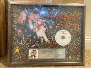 The Cheetah Girls Album Riaa Certified Platinum Plaque Display