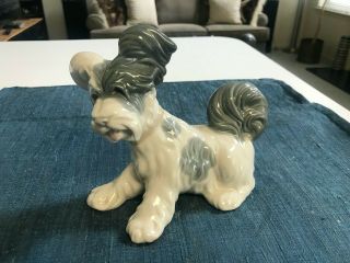 Vintage Retired 6 3/4 " Lladro 4643 Skye Terrier Dog Figurine Glazed