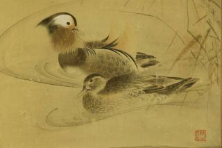 Japanese Hanging Scroll Art Painting " Mandarin Ducks " Mori Sosen E5407