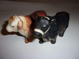 Vtg Angus Herford Bull cow Figurine Salt Pepper Shakers Victorian Ceramic JAPAN 2