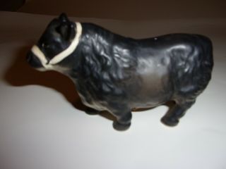 Vtg Angus Herford Bull cow Figurine Salt Pepper Shakers Victorian Ceramic JAPAN 3