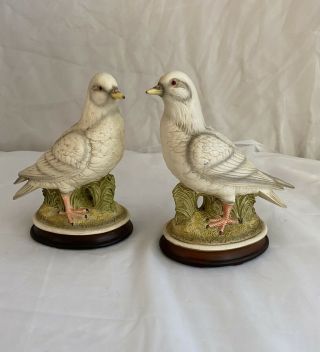 Vintage Norleans Porcelain Bird Figurine Set Of 2 Dove Pigeon Japan 8” Tall 7” L