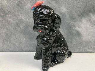 Black Poodle Dapper Dog Ceramic Cookie Jar By Anthropologie