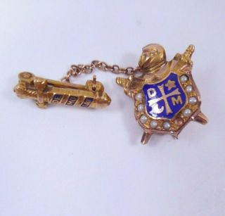 Vintage 10k Solid Gold De Molay Enamel Seed Pearl Pin Youth Masons