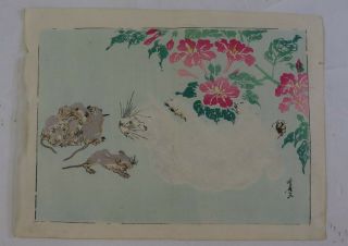 Mice,  Cat,  Flower :japanese Print,  Kyosai