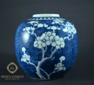 Antique Fine Quality Chinese Porcelain Handpainted Prunus Pattern Jar Vase