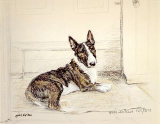 Bull Terrier English Brindle Dog Art Limited Edition Print