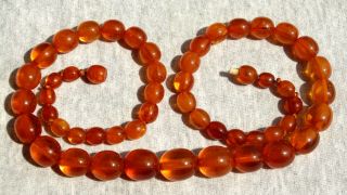 Vintage Natural Baltic Butterscotch & Cognac Amber Necklace Beads 44 Grams