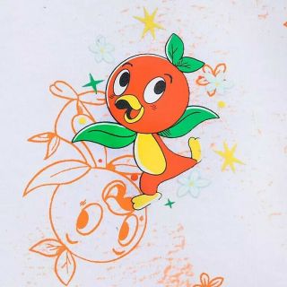 Orange Bird Hello Sunshine Flower and Garden Festival Spirit Jersey Disney M 3