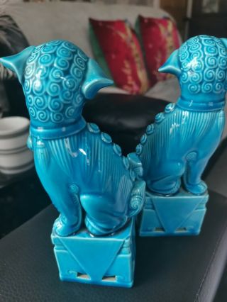 Vintage Chinese Turquoise Blue Porcelain Blue Foo Fu Dogs /guardian Lion/statue 2