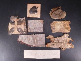 1928 Airmail Pilot Crash Pieces From Crash Of Lawrence Garrison 985