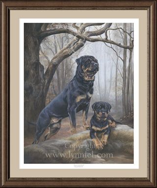 Rottweiler Limited Edition Dog Print 