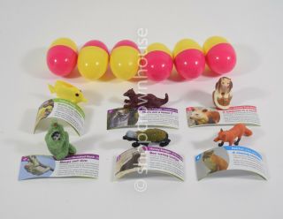 6 Yowie Endangered Species Animal Toys Eggs - Yellow Tang Red Fox Sloth Badger,