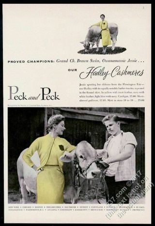 1953 Champion Brown Swiss Cow Photo Peck And Peck Hadley Cashmere Sweater Ad