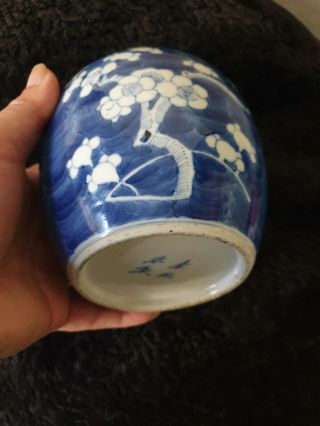 Antique Blue & White Chinese Porcelain Ginger Jar : Prunus Pattern 4 Character