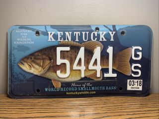 Kentucky License Plate Fish Wildlife Smallmouth Bass (extremely Rare)
