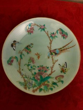 Antique Chinese Tongzhi Nian Zhi Da Qing Fencai,  Celadon Famille Rose Plate 3