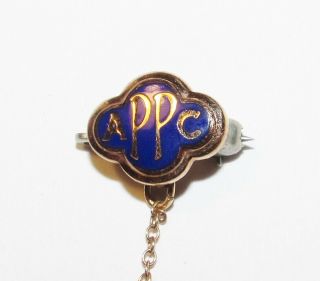 Vtg 35 Year Auxiliary VFW 10K Gold & Sterling Silver Pin W/Attached APPC Pin F 3