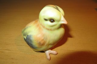 Herend Baby Chick Hand Painted Porcelain Near - -
