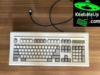 Chicony 5161 Alps Skcm White (pine) Vintage Clicky Keyboard (usb Converted)