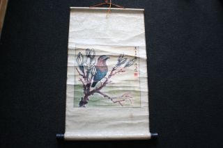 Chinese Ink Watercolour Hand Painting Bird On Rice Paper Silk Scroll - Signed