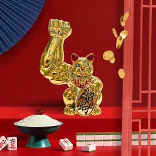 Muscle Arm Lucky Cat Figurines Creative Feng Shui Animal Statue Home Table