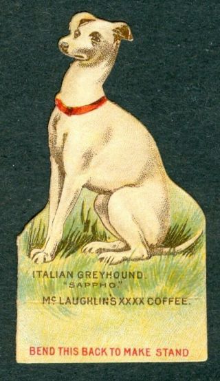 1890s Italian Greyhound Dog Card K70 Mclaughlin Coffee Die Cut Paper Toy Rare