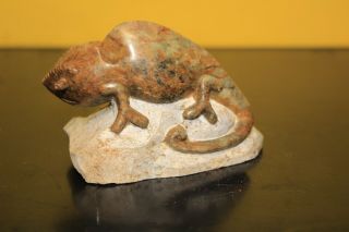 Chameleon Lizard Stone Carving Brown Serpentine Shona Zimbabwe African Art 21
