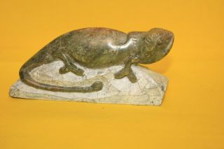 Chameleon Lizard Stone Carving Brown Serpentine Shona Zimbabwe African Art 15