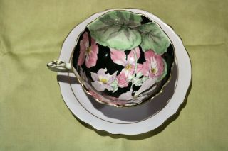 Vintage Paragon Bone China Cup&saucer Wild Roses Double Warrant Read
