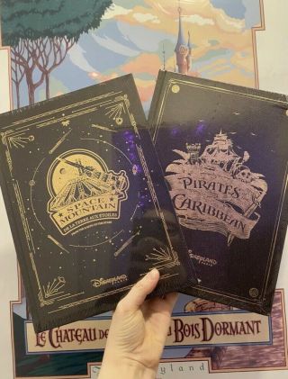 Disneyland Paris Space Mountain And Pirates Of The Caribbean Book Dlp