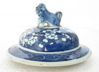 Large 13cm Antique Prunus Chinese Blue & White Porcelain Vase Lid Foo Dog 19th C