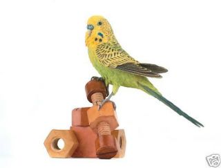 Country Artists Budgie With Wooden Toys Bird Figurine Ca05233